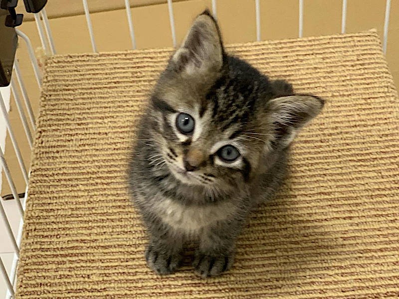 保護当時、ごはん待ち