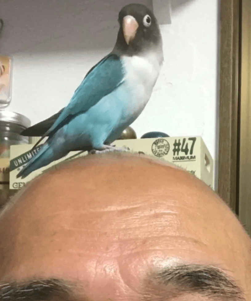 なんでそこがいいの！？