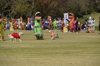 恐竜の衣装を着た犬たちの姿も／日本ティラノサウルス保存会（@TREXraceDAISEN）提供