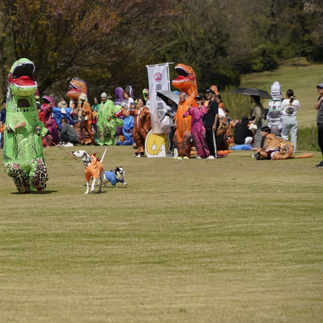 恐竜の衣装を着た犬たちの姿も／日本ティラノサウルス保存会（@TREXraceDAISEN）提供
