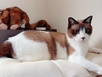 可愛いのは変わらない！（マミ太郎さん提供）