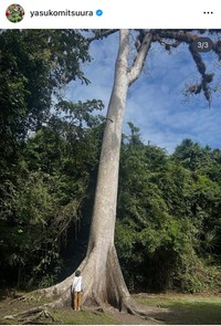 光浦靖子インスタグラム＠yasukomitsuuraより