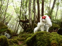 貫禄さえ感じます