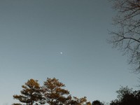 無理に人に合わせずほどほどに。寂しさを受け止める勇気を持つこと