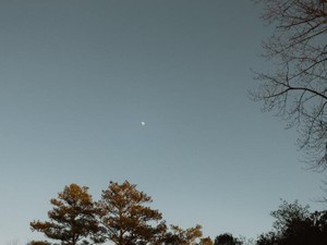 無理に人に合わせずほどほどに。寂しさを受け止める勇気を持つこと