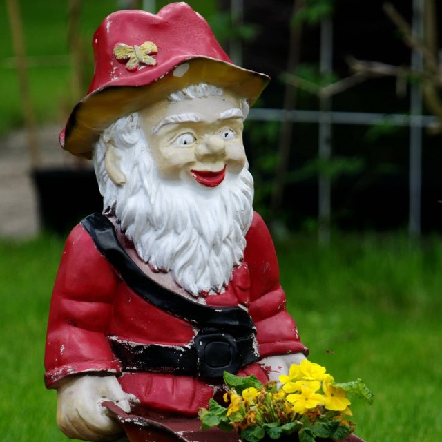 禁止措置を解除されたガーデンノーム