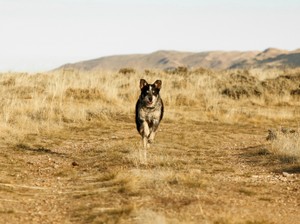自分の感情を否定せず、「やってみたい」の種を育てて実行していく