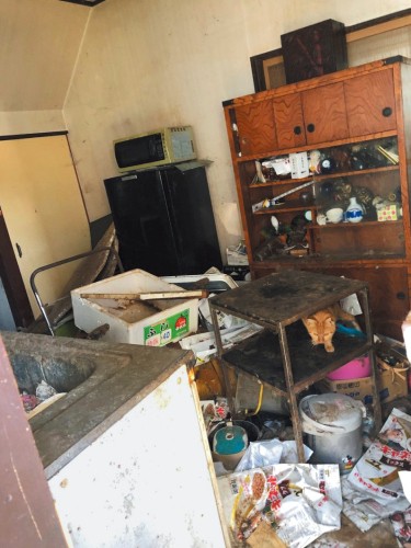 多頭飼育崩壊現場の猫たちは、こんな室内で生き延びていた