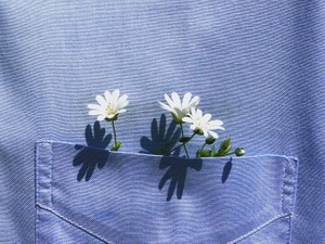 「私」の枠を見誤った29歳。全て大切な時間と信じて自分と向き合う