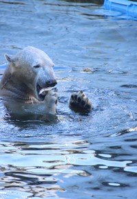 小魚パクパク＝2025年12月撮影