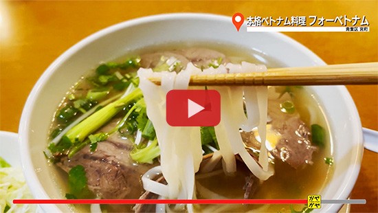 #708本格ベトナム料理 フォーベトナム①