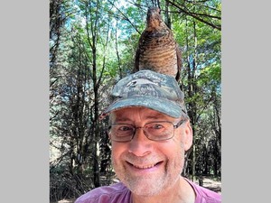 人になつきすぎる鳥、アメリカ各地で増加中　遺伝子異常？科学的に解明できる可能性も