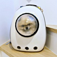 「爪切り」をされて一転、暗い表情になるボスくん（画像提供：ポメラニアン ボスさん）