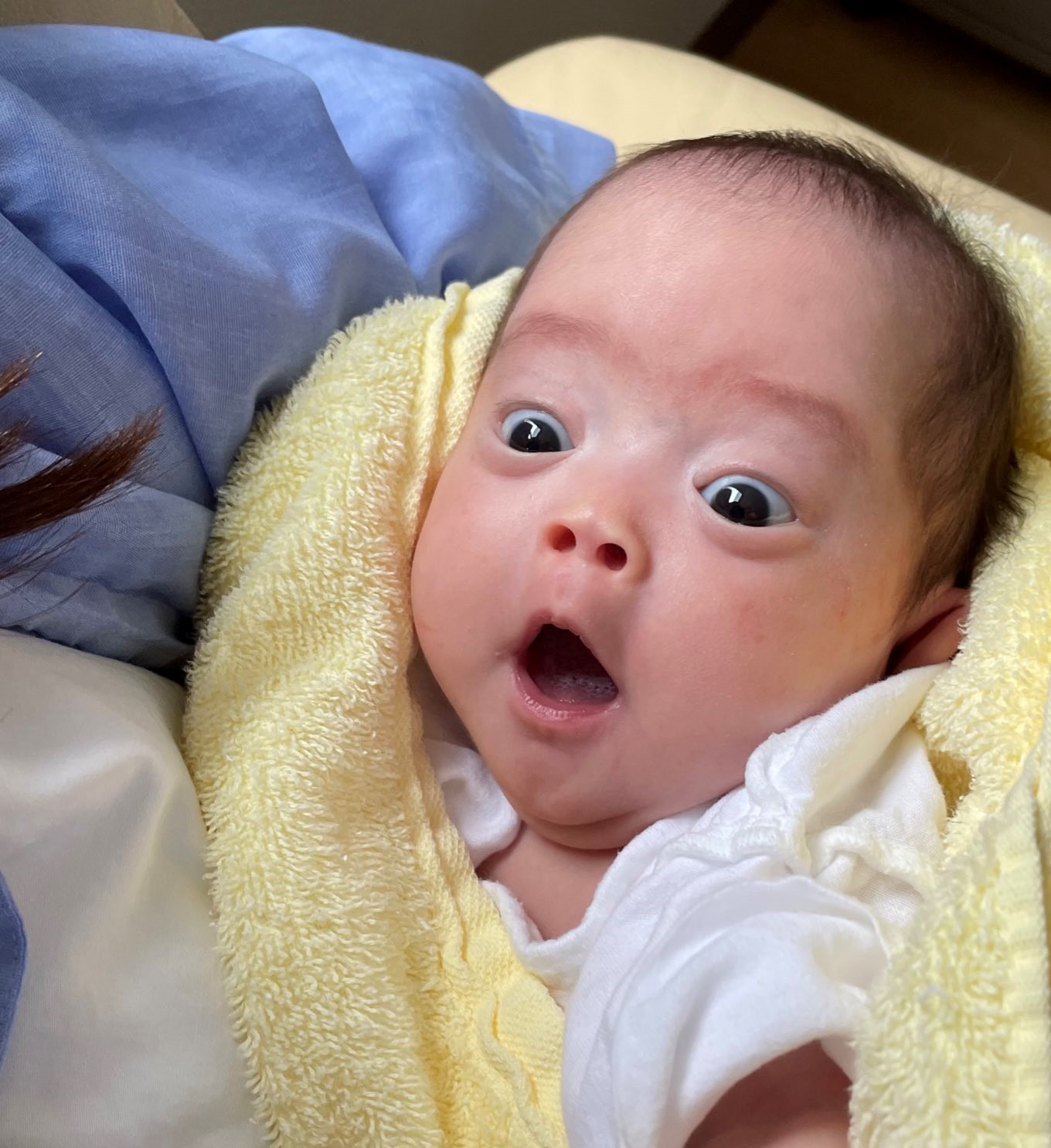 6c8dbdf9ac1cae5f6857440018c544