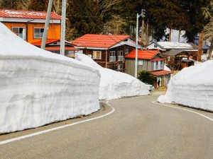 初めての一人暮らしの地は雪国。不便だったけど「第二のふるさと」