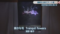 濱野暢子／鎮かな花 Tranquil flowers