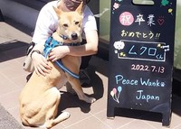 ムクロはめでたくピースワンコを卒業することができました