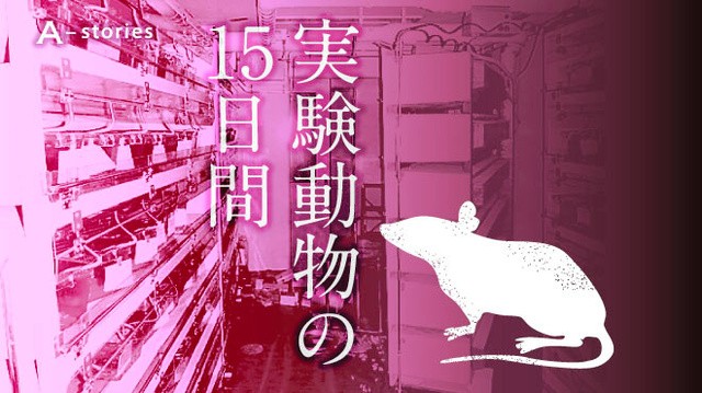 実験動物の１５日間