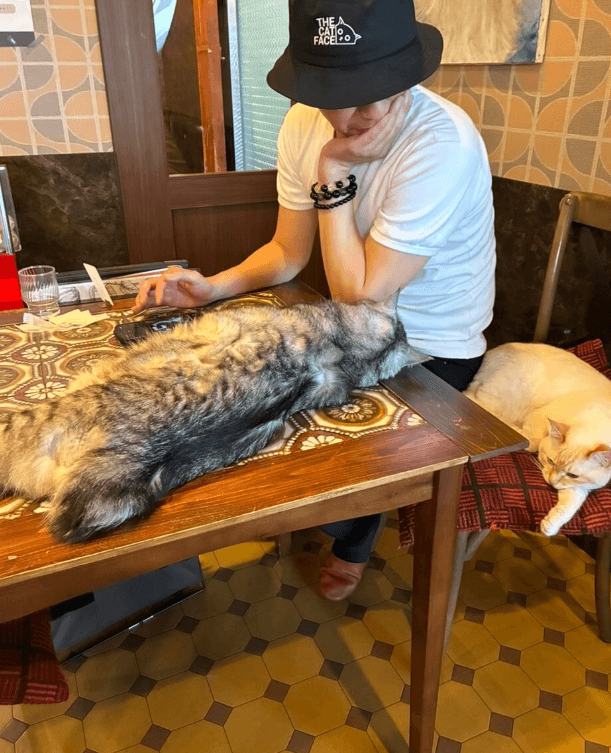 猫好き以外は入店禁止（株式会社いちごいち会提供）