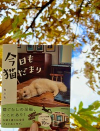 書籍「今日も猫だまり」（なみそ著）（提供：なみそさん）