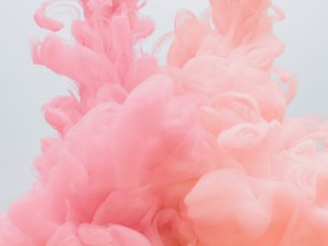 無知を無効化する「可愛い」の魔法が通用しなくなるとき