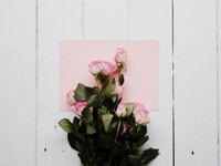 ジェットコースターのような恋を降りた先で出会った、好みじゃない彼