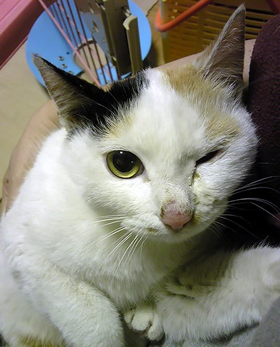 ボビはとにかくフレンドリー