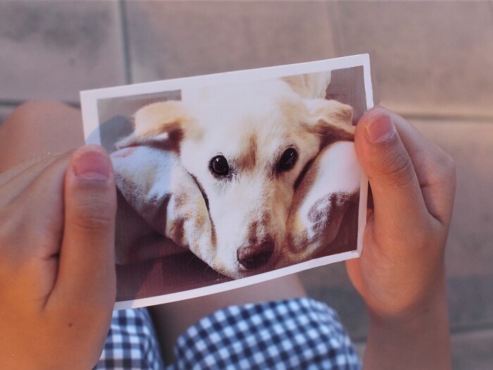 「はな、大好きだよ。家族になってくれてありがとう」