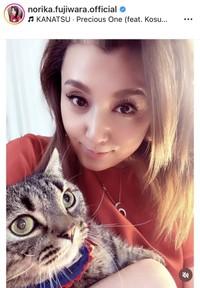 藤原紀香のインスタグラム＠norika.fujiwara.officialより