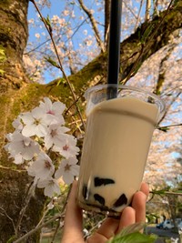 実は、普通ではないタピオカミルクティー（提供：てるてるさん）