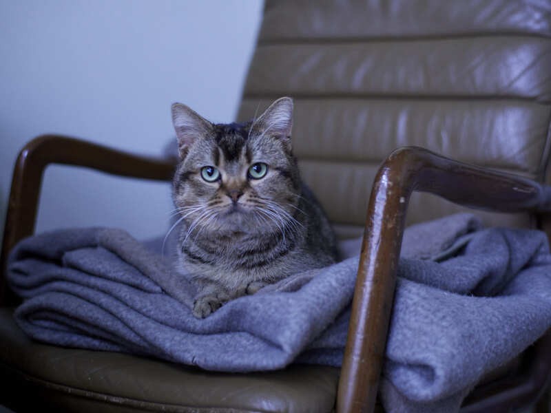 『夏への扉ーキミのいる未来へー』©2021 映画「夏への扉」製作委員会
