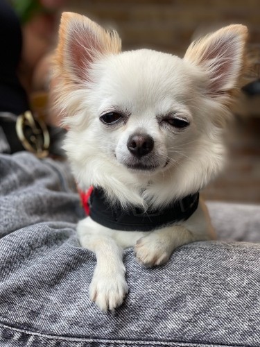 すぐ眠くなりますが……（リリカさん提供）