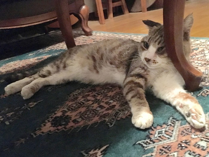 もたれかかり寝