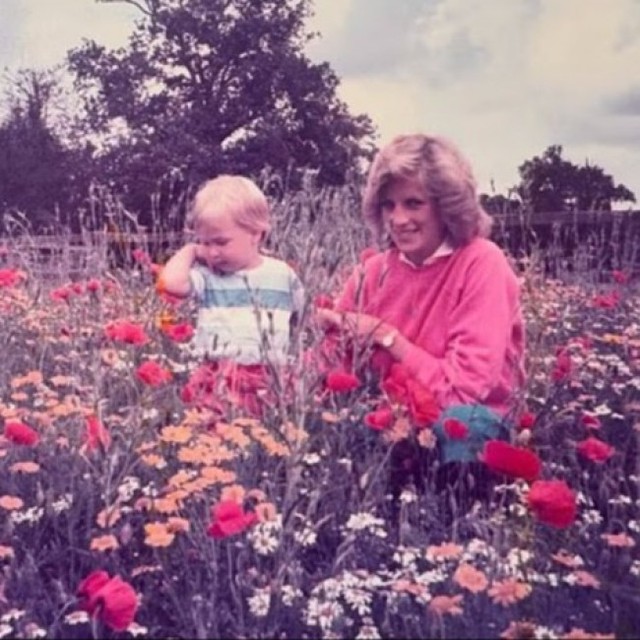 幼い頃のウィリアム皇太子（左）と在りし日のダイアナ元妃