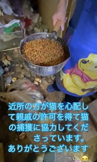 室内はゴミの山…足の踏み場もなく猫を探してみたが見当たらず(保護ボランティア「コア」さん提供、Instagramよりキャプチャ撮影)