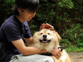 正しい犬の散歩　飼い主が前、犬は左　犬が来たら道の端へ