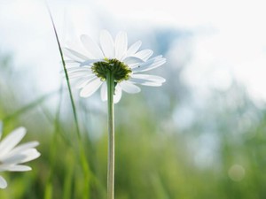 後悔しても「何事も経験だ」と思うから。私はきっと過去を変えない