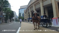 誘導するスタッフの姿が（明石乗馬協会提供）