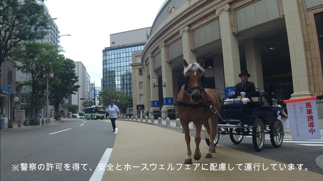誘導するスタッフの姿が（明石乗馬協会提供）