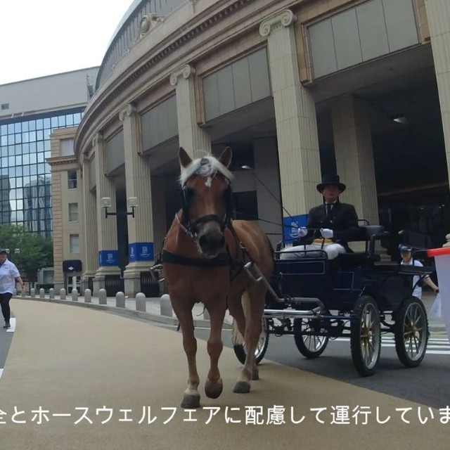 誘導するスタッフの姿が（明石乗馬協会提供）