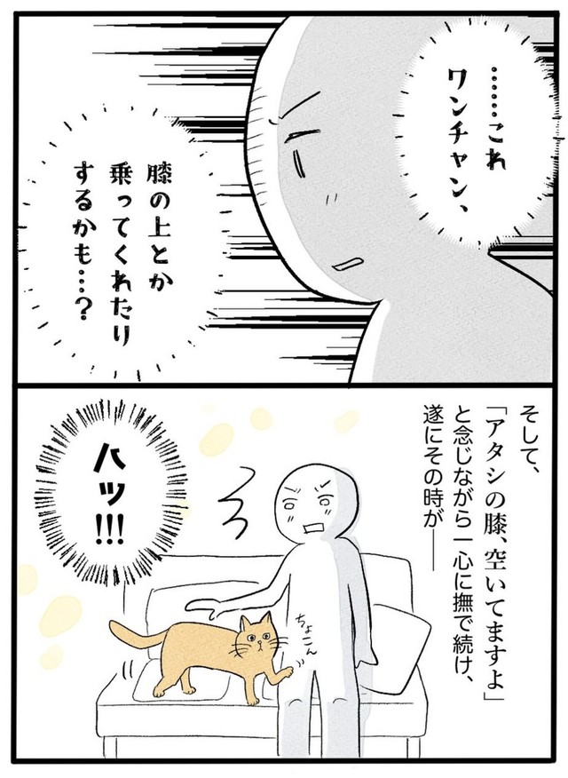 【漫画】『ネコと暮らした9日間』39（イゴカオリさん提供）