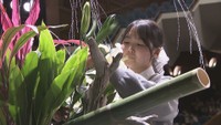 全国高校生花いけバトル　目標100万円で自治体クラウドファンディング開始　香川