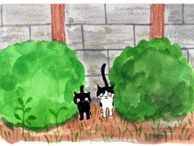 天井裏から子猫が落ちてきた　壁に穴あけ救出「この子はしっかり育てます」