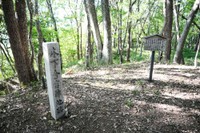 虎御前山城跡。秀吉陣跡は珍しい三角形の曲輪