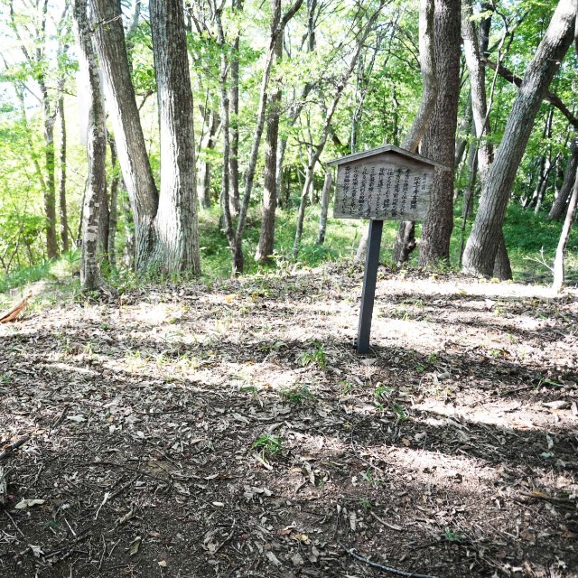 虎御前山城跡。秀吉陣跡は珍しい三角形の曲輪
