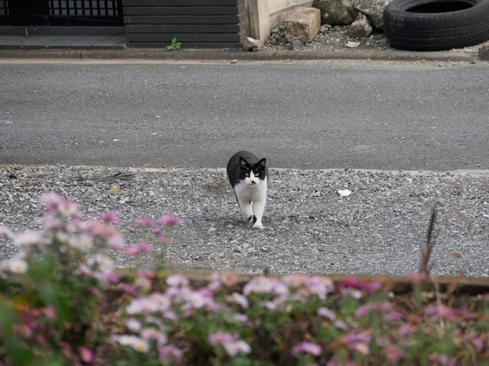 「あ、そこにいたの。みーつけた！」（小林写函撮影）