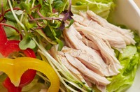 サラダチキンはぞうすいにも使える！※画像はイメージです（mnimage/stock.adobe.com）