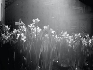 バイバイでも、さよならでもなく、「またね」を選ぶ彼はずるい人