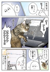 【漫画】『ネコまんがまとめ』20　（も～さんの提供）