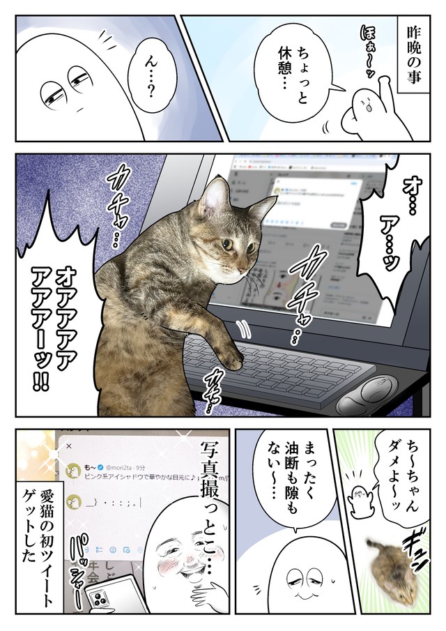 【漫画】『ネコまんがまとめ』20　（も～さんの提供）